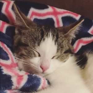 Meet your Posher, Alex